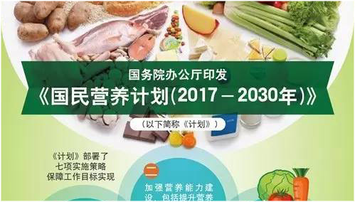 专家解读《国民营养计划（2017—2030年）》