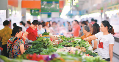中国每年蔬菜集约育苗2000亿株 从根本上支撑全国蔬菜稳定优质供