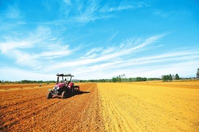 “亲土种植”助力农业可持续发展