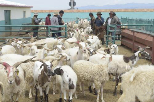 产管并举 内蒙古农畜产品总体合格率达98%以上