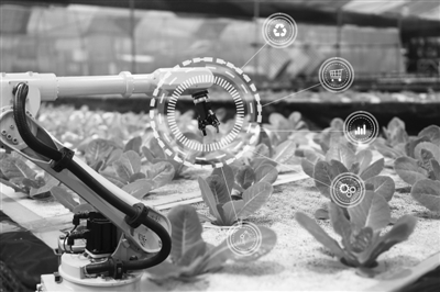 突破机器视觉关键技术 助农业机器人“占领”果园、农田