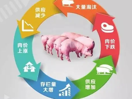 农业农村部三方面举措 抑制和缓解“猪周期”