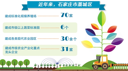 农业大区三招“调”出新格局