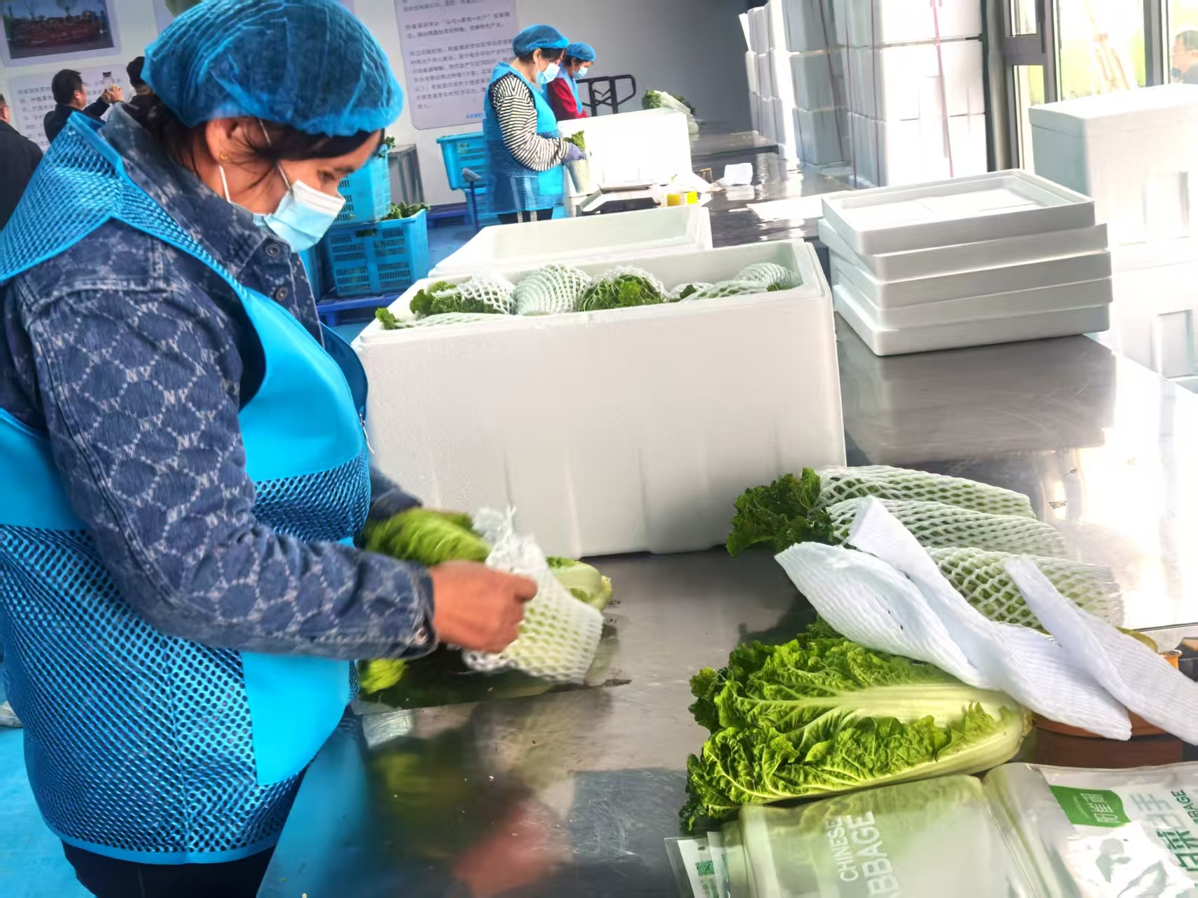 Сײ ҵȸ۰ëײˣƷƸ