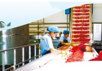 �ҹ���ɫʳƷ������450��� ��ɫũ��Ʒ�������Ʋ�ҵ